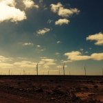 black-wolves-apus-in-africa-de-vest