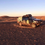 black-wolves-in-africa