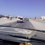 black-wolves-in-capitala-mauritaniei