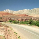 black-wolves-in-drum-spre-maroc-2