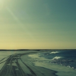 black-wolves-in-drum-spre-senegal