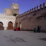black-wolves-in-fez