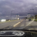 black-wolves-in-maroc