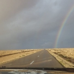 black-wolves-in-maroc_drum-de-intoarcere