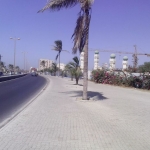 black-wolves-in-senegal