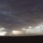 black-wolves_furtuna-de-nisip