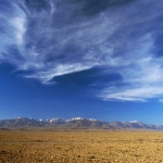 black-wolves_in-drum-spre-maroc