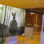 cosmin-gogustyle-nature-green-carpet-lifestyle-event