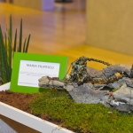 maria-filipescustyle-nature-green-carpet-lifestyle-event-2