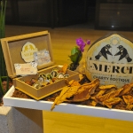 merci-charity-boutiquestyle-nature-green-carpet-lifestyle-event