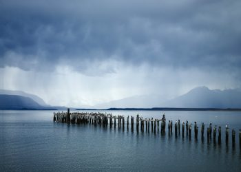 Artwork by Nicu Cosniceru