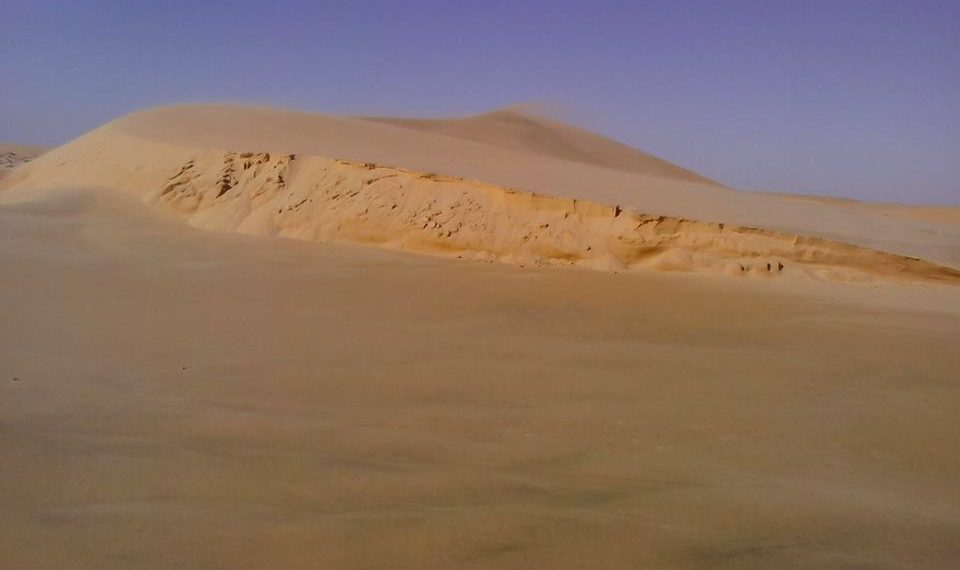 “Black is Beautiful”, un proiect “Black Wolves” in parteneriat cu “Style & Nature Romania”