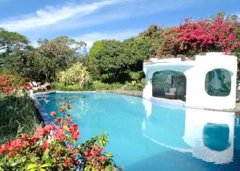 Cele mai frumoase eco hoteluri din lume (I)