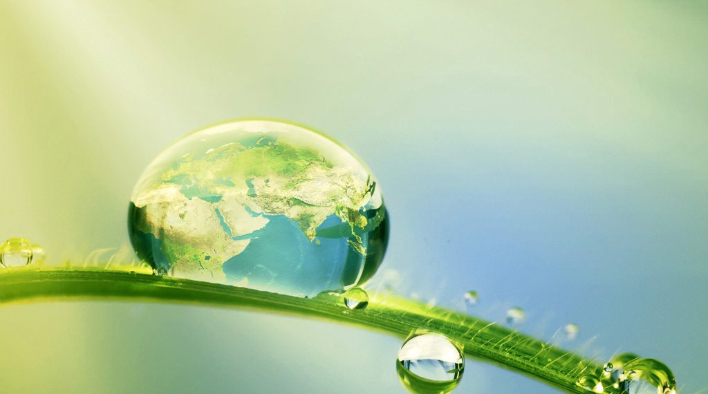 Ce inseamna sa fii Nature Friendly, cu Michael Page, CEO/President Renewable Assets, Inc.