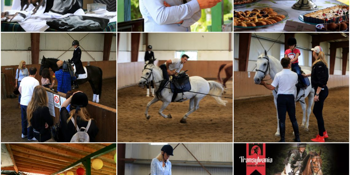 Vedetele au luat lectii de echitatie si au aflat informatii despre Transylvania Horse Show 2016!