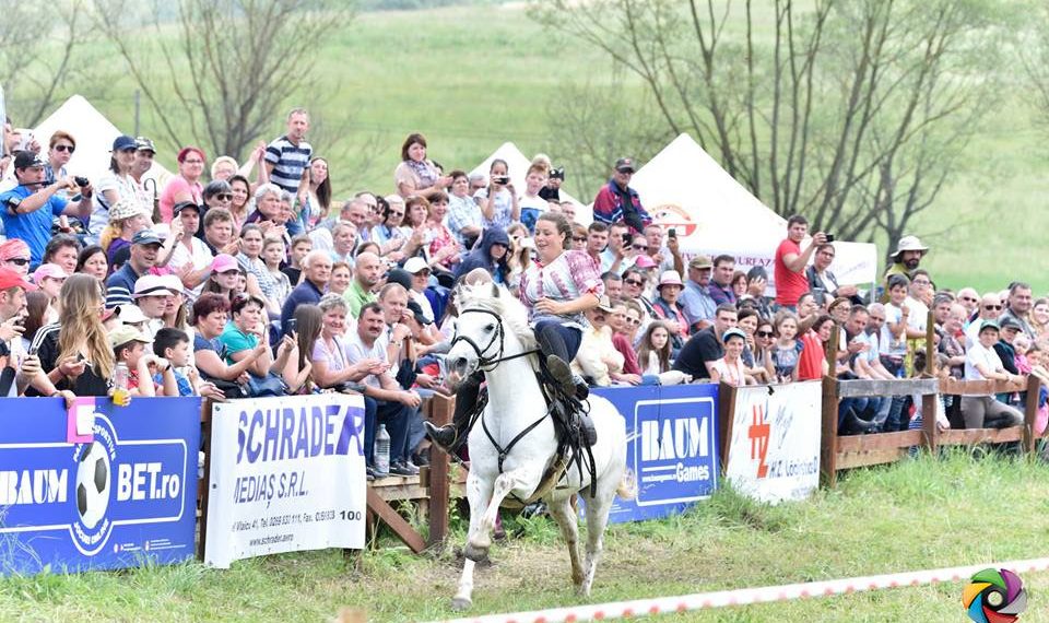 95 de călăreți din 15 țări participă la Transylvania Horse Show 2017!