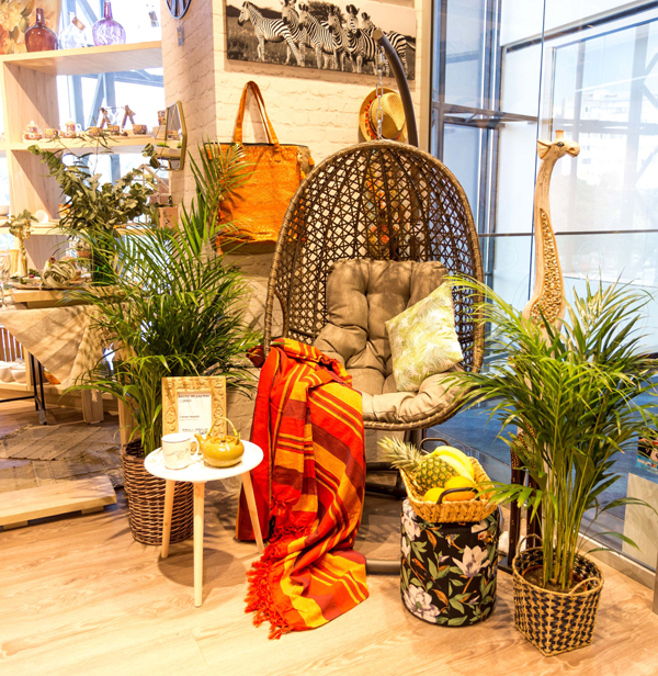 carmen negoita pt site