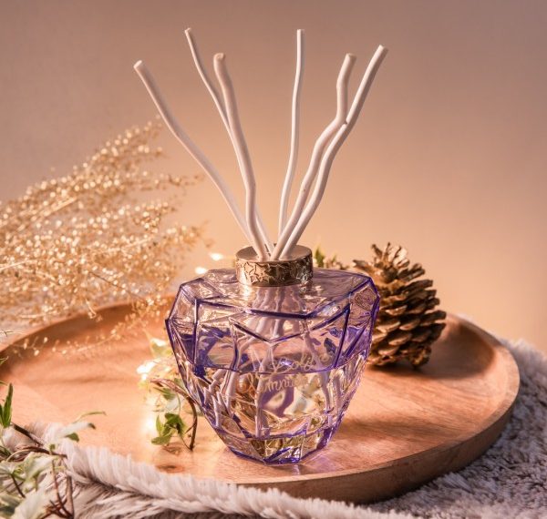 SensoDays.ro – Black Friday pe gustul tau