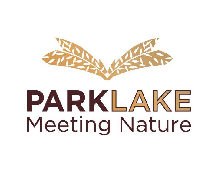 Trăiește Crăciunul așa cum l-ai visat!