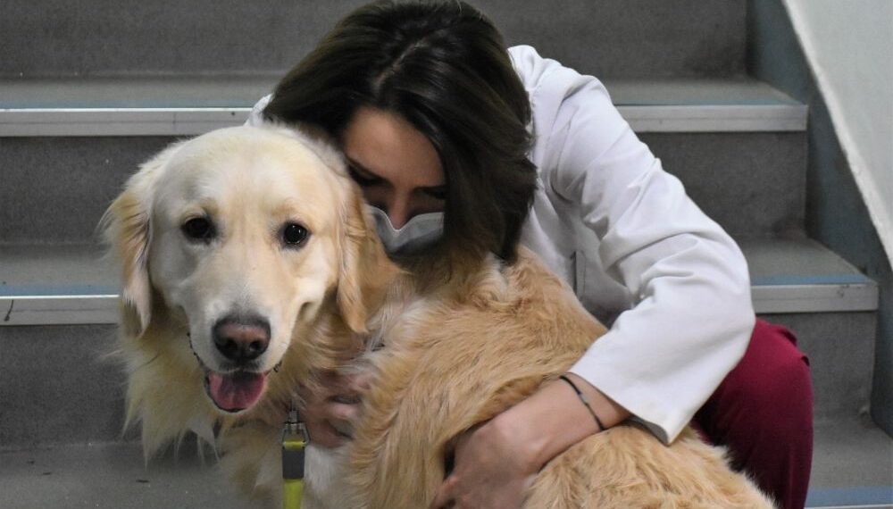 Zilele Facultății de Medicină Veterinară