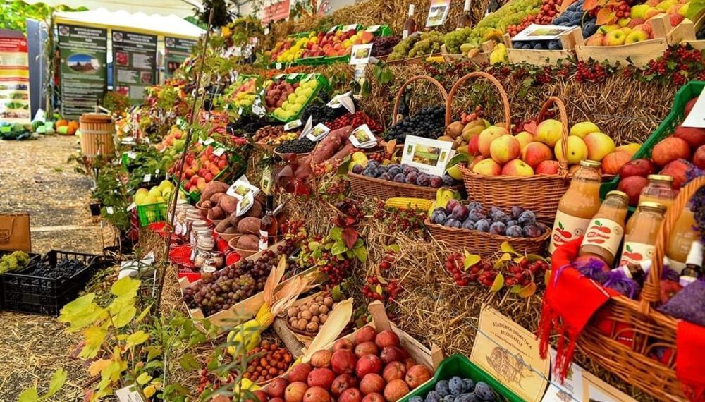 Toamna Horticola Bucuresteana -Ziua Recoltei 2022 (2)