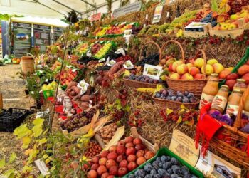 Toamna Horticola Bucuresteana -Ziua Recoltei 2022 (2)