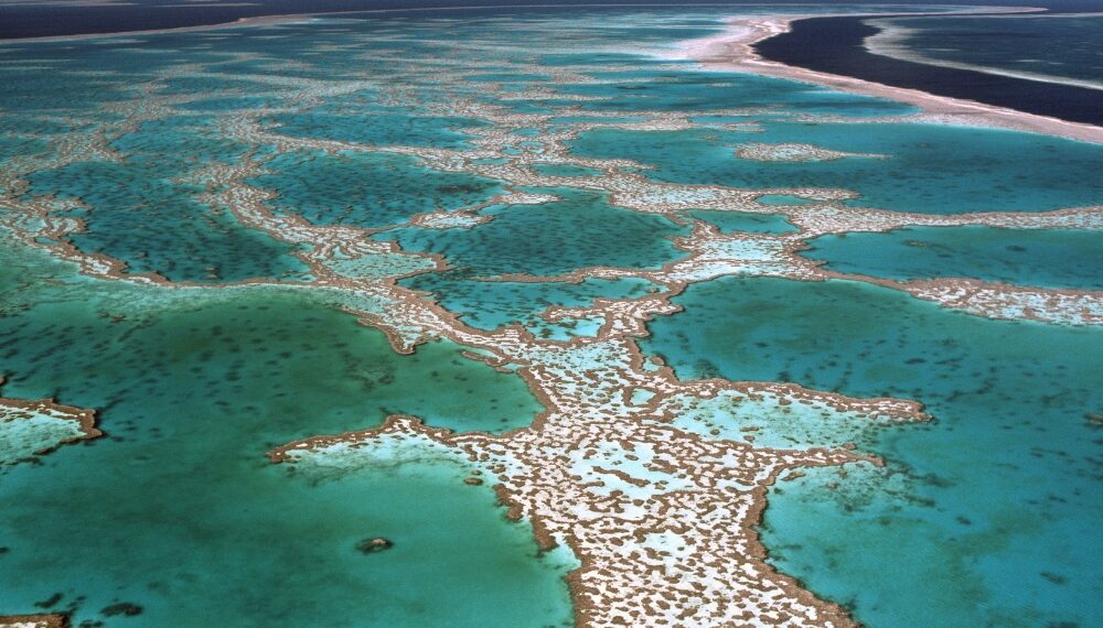 marea bariera de corali