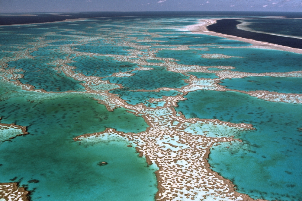 marea bariera de corali