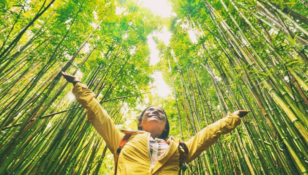 sustainable travel
